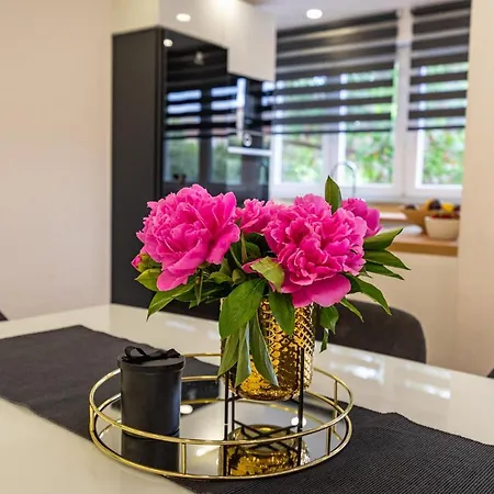 M&f Luxury Apartman Zára